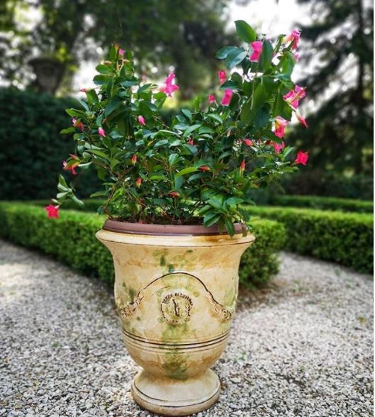 a stone pot dabbed with green paint to look mossy