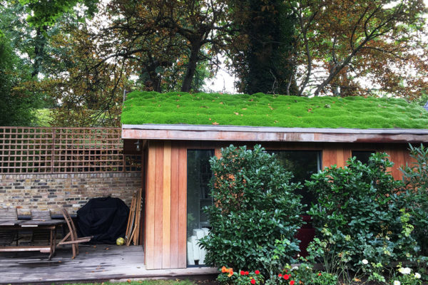 40 Garden Shed Ideas for Pretty to Practical Outdoor Buildings 9 a modern shed with a green roof made from plants