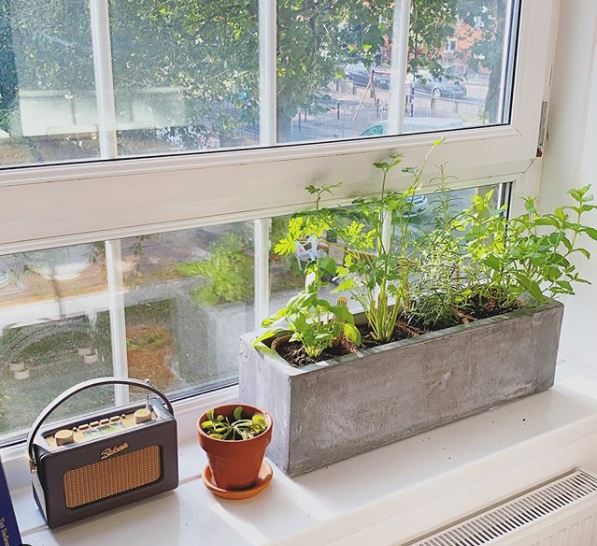 a concrete block being used as a pot for herbs on a windowsill