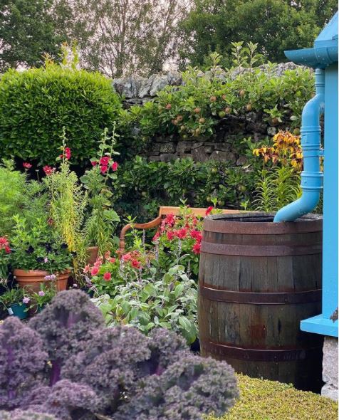 25 English Cottage Garden Ideas: Capture the Fairytale Charm 17 cottage garden ideas with lots of mixed flowers, including hollyhocks