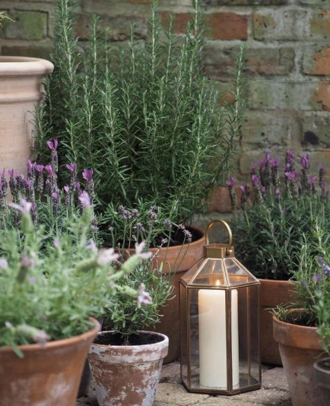 25 English Cottage Garden Ideas: Capture the Fairytale Charm 15 lavender and rosemary with lantern