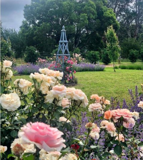 25 English Cottage Garden Ideas: Capture the Fairytale Charm 9 a crowded cottage garden style flower bed surrounding a lawn with a trellis in the middle
