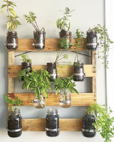 a DIY shelving frame with jars attached as plant pots