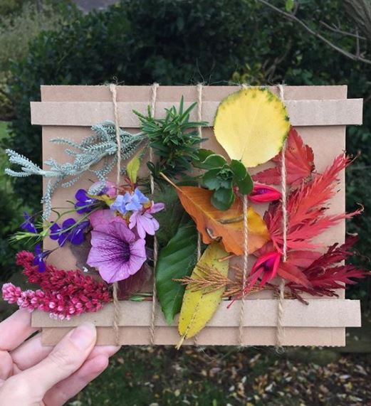 a nature board created using garden flowers and leaves in different colours