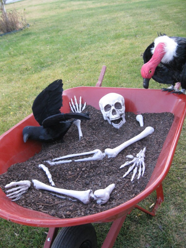 22 Halloween Garden Ideas: Fun & Low-cost Spooky Decorations 12 a wheebarrow with a plastic skeleton half-buried in dirt