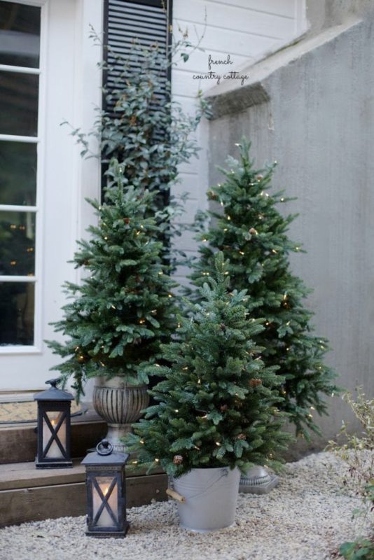 A trio of fir trees make for beautiful christmas garden ideas