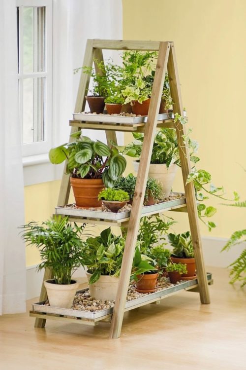 indoor herb garden ideas using a step ladder as a display
