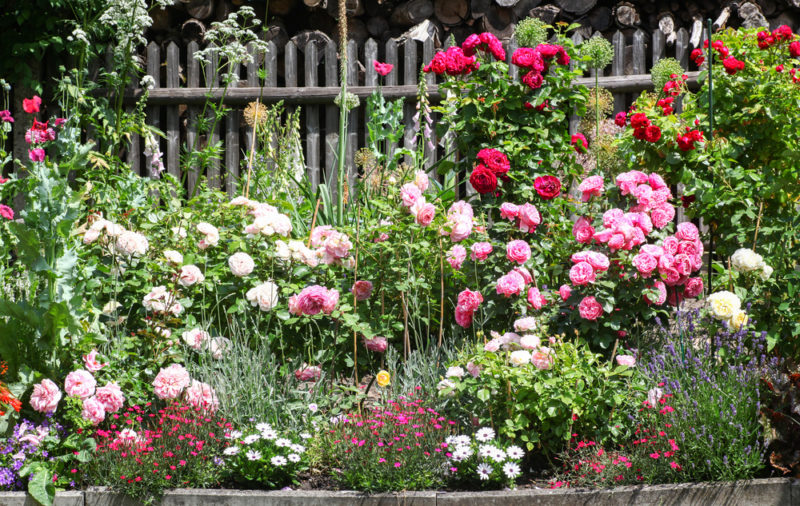 25 English Cottage Garden Ideas: Capture the Fairytale Charm 16 a crowded, cottage style flower bed