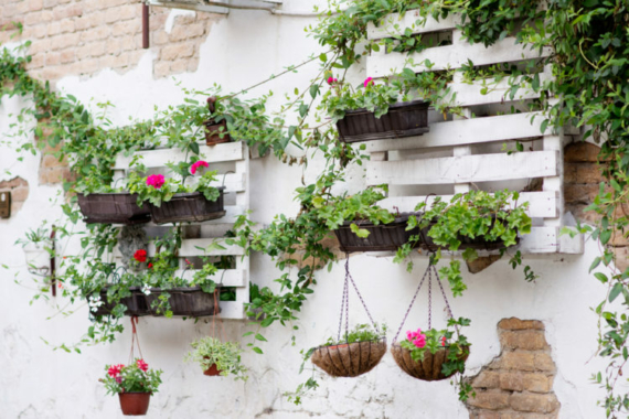 DIY garden pallet ideas using salvaged pallets on the wall as plant racks