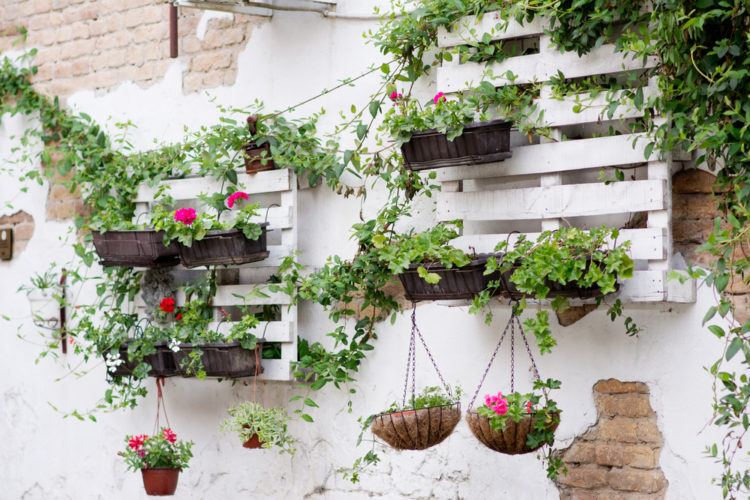 DIY garden pallet ideas using salvaged pallets on the wall as plant racks
