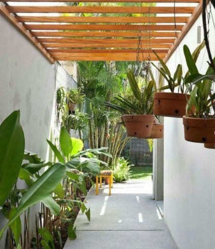 14 Side Return Garden Ideas: Use the Narrow Side of House! 11 an airy side garden with plants hanging from a pergola