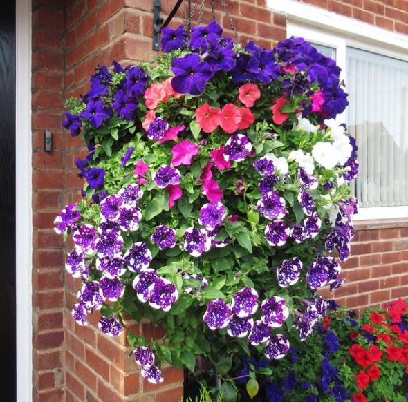 a huge, overflowing hanging baskets with a variety of flowers