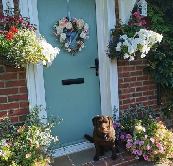 a blue front door with hanging baskets either side and a chocolate Labrador on the door step