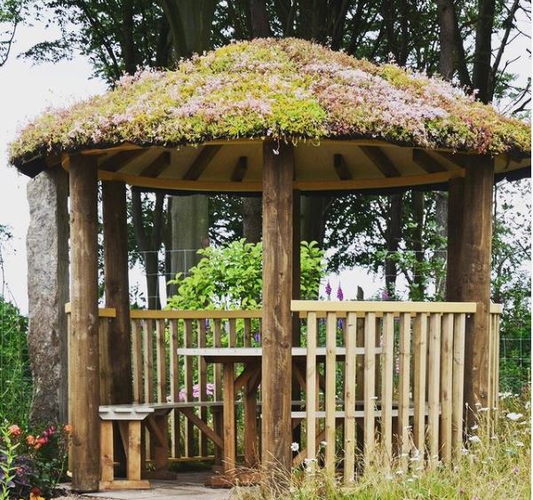 Modern Sustainability: Green Roof Ideas and Tips 2 an open-sided gazebo with plants growing on the roof
