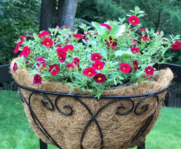 hanging basket tips: use a layer of fibres to keep soil and water in