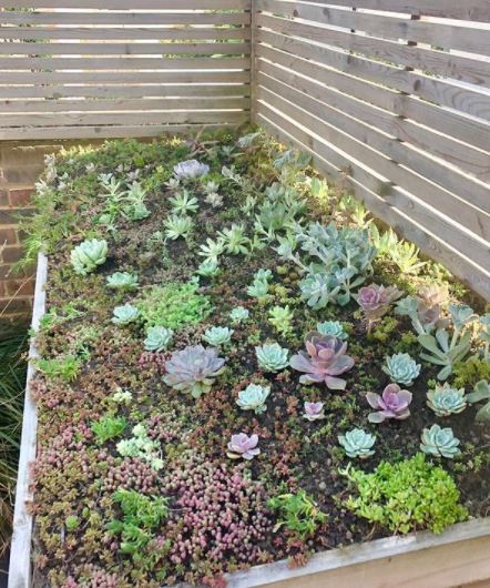 Modern Sustainability: Green Roof Ideas and Tips 5 green roof ideas using a sedum mat on a bin storage unit