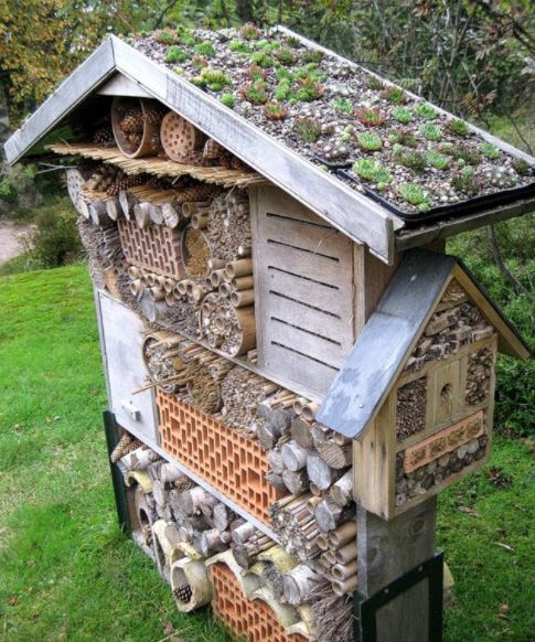 a bug hotel with a sedum roof