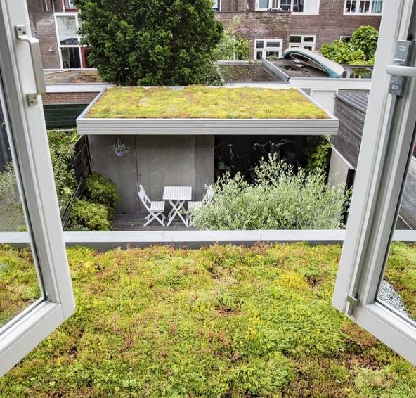 Modern Sustainability: Green Roof Ideas and Tips 6 green roofing on a house extension and garden building