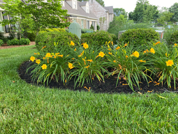 garden tips for selling your home include putting mulch on your flower beds