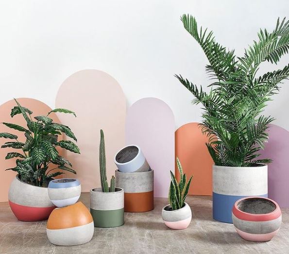 a collection of concrete pots painted with bright stripes of colour with tropical plants inside