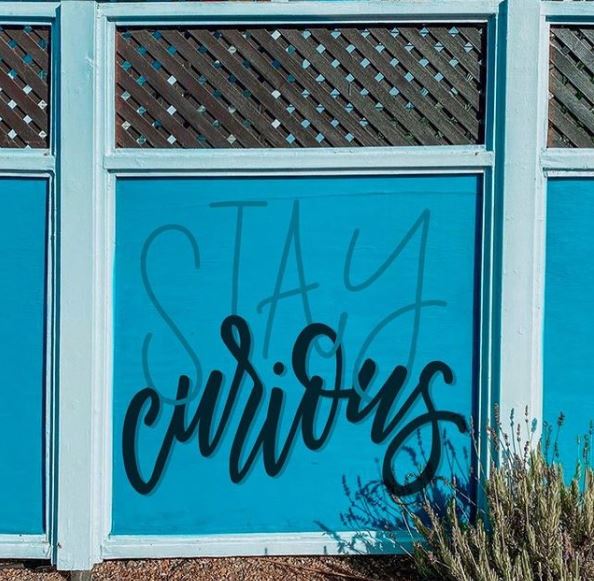 29 Unique Garden Mural Ideas for Outdoor Walls & Fences 13 a blue fence with the words "stay curious" painted on it in calligraphy