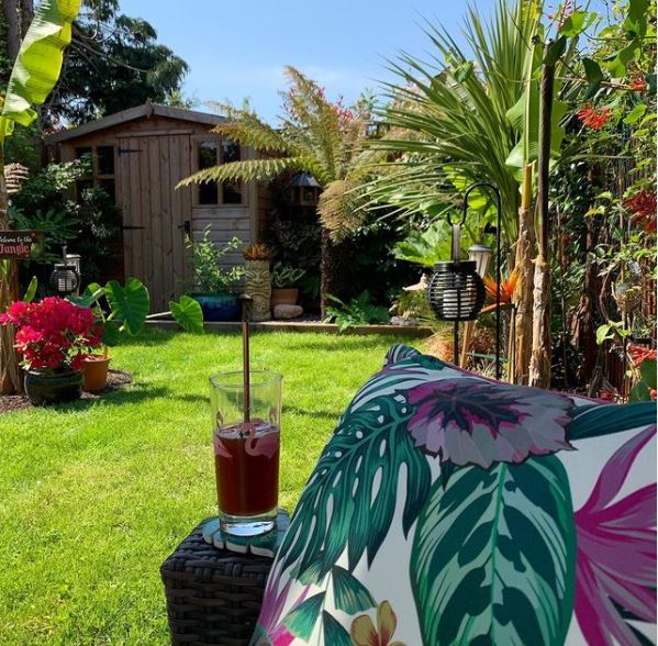 a garden sofa with brightly-patterned cushions, looking over a sunny garden with exotic plants