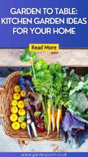 GARDEN TO TABLE KITCHEN GARDEN IDEAS FOR YOUR HOME-min
