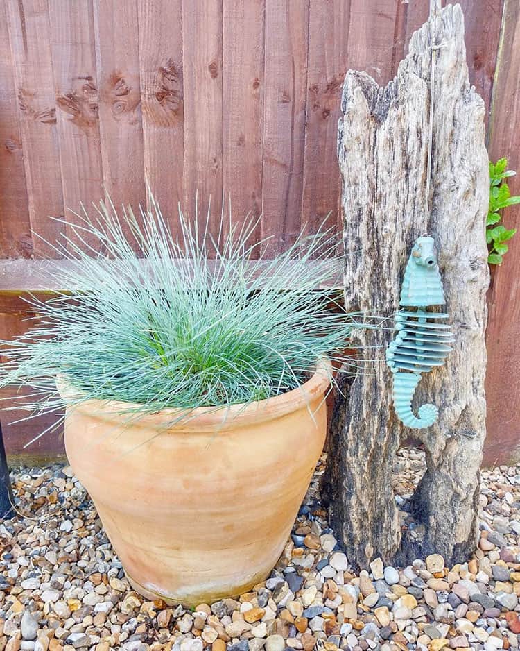 beach-themed sanctuary