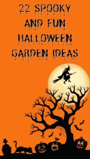 22 Halloween Garden Ideas: Fun & Low-cost Spooky Decorations 23 halloween garden ideas