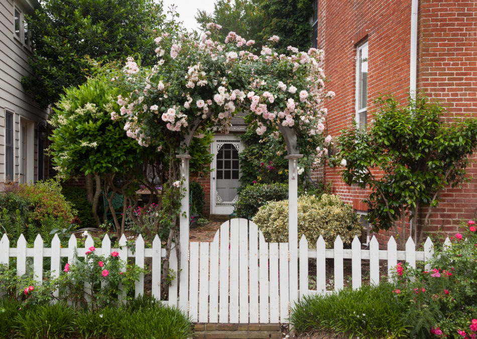 25 English Cottage Garden Ideas: Capture the Fairytale Charm 3 a white picket fence with a gate covered by an arch that has roses growing over it