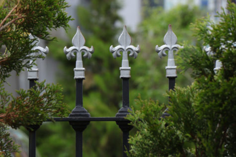a black, iron fence with a silver Fleur-de-lis at the top of each bar