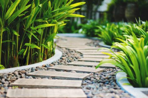 a garden path, made from stepping stones in gravel, weaves between tropical flower beds