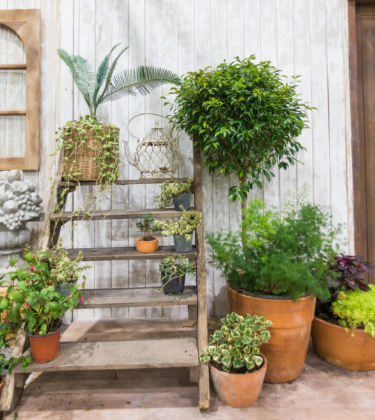 14 Garden Tool Storage Ideas: Keeping Your Shed Ship-Shape 15 a short ladder being used to hold plants