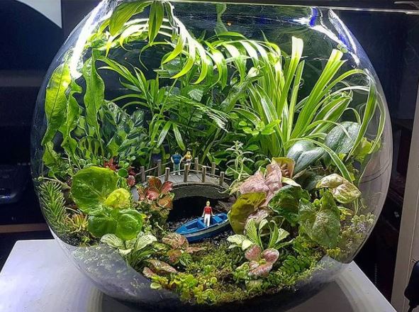 a terrarium with miniature sculptures inside, creating a fairy garden jungle