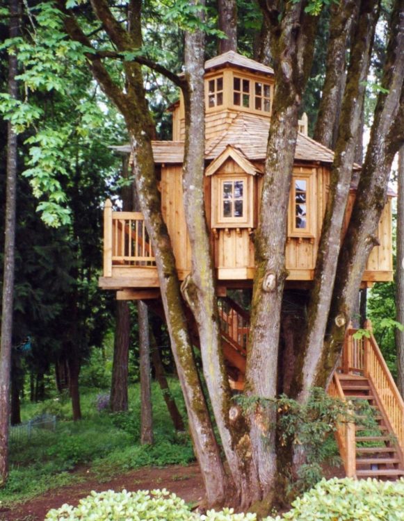 11 Awesome Garden Treehouse Ideas for You (and Your Kids) 9 an elaborate treehouse with steps, windows, a deck and a turret
