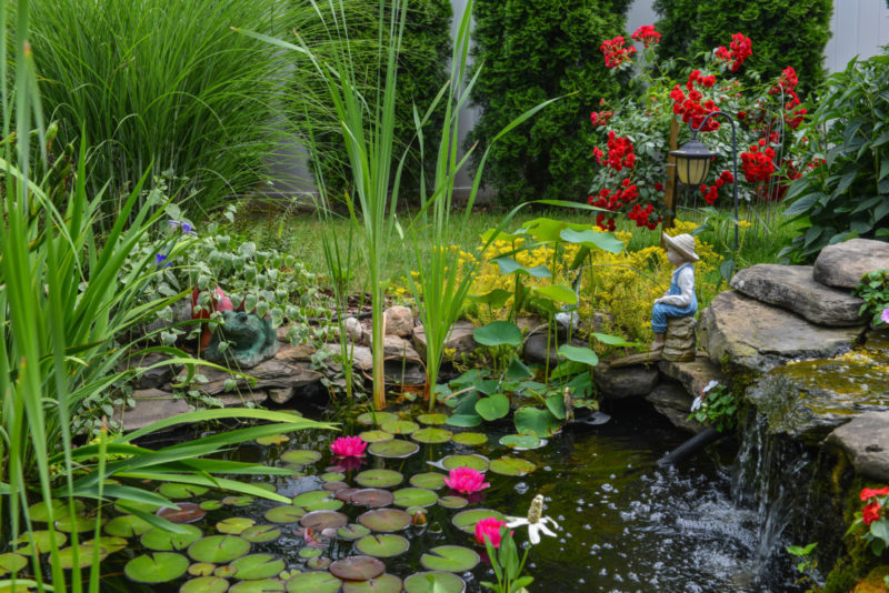 a garden pond with plants and flowers