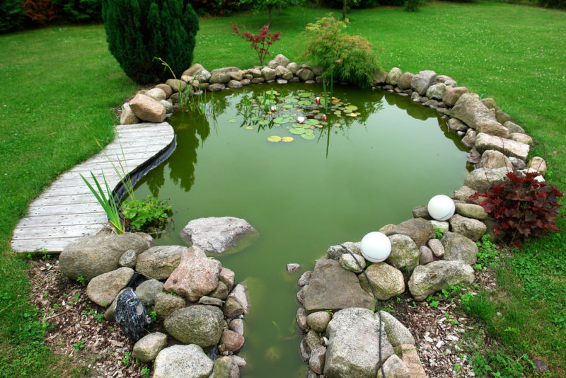 an ornamental pond surrounded by lots of rocks
