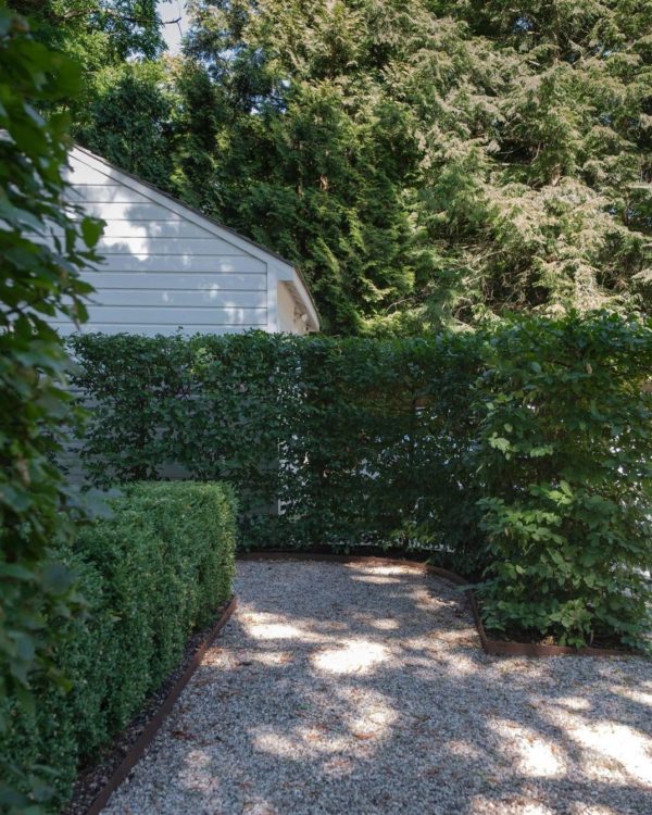 bay laurel hedges creating secluded garden spaces