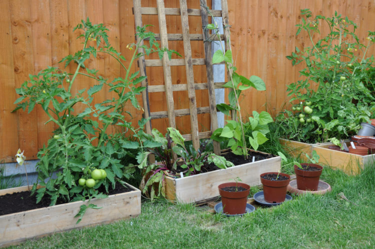 raised flower beds for growing vegetables in containers, with a trellis and pots nearby