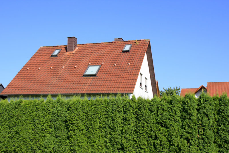 a house hidden behind thick garden hedges for privacy
