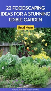 22 FOODSCAPING IDEAS FOR A STUNNING EDIBLE GARDEN-min