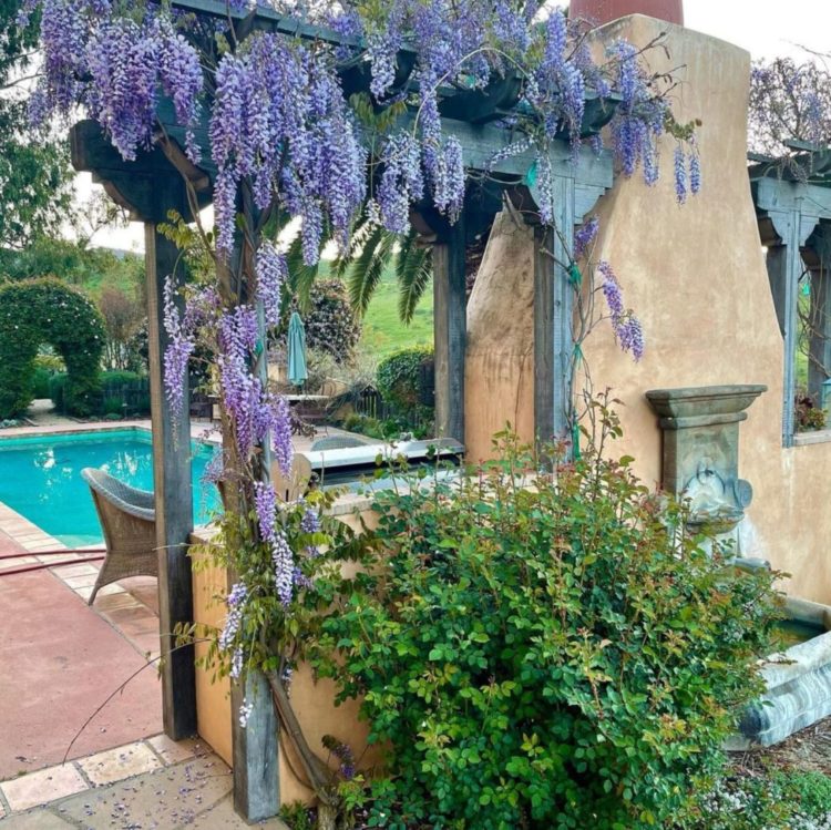 a rustic outdoor fireplace with wisteria growing on either side