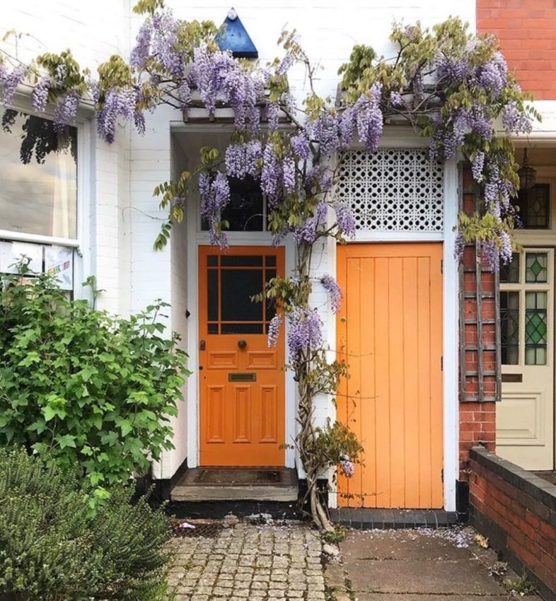 Wisteria Hysteria: Growing an Instagram-Worthy Garden 5 a thin vine of wisteria, trailing across a front door and storage cupboard door painted in a peachy orange colour