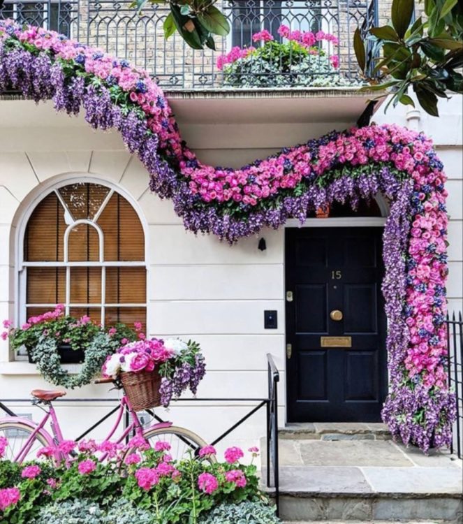 Which Trellis Is Best For Wisteria? 6 boughs of wisteria and pink flowers adorn the front of a white building in London
