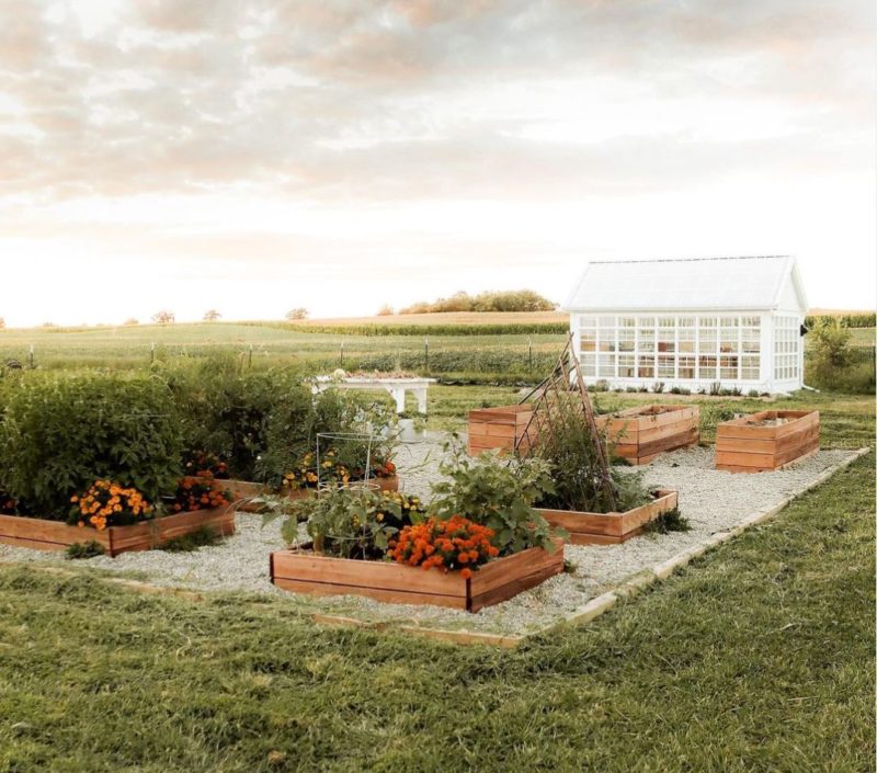a beautiful greenhouse surrounded by tidy plant beds filled with vegetables