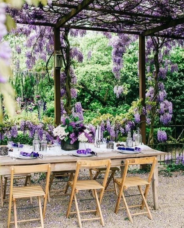 Wisteria Hysteria: Growing an Instagram-Worthy Garden 22 a dining table and chairs beneath a wisteria-covered pergola, with wisteria flowers as decorations