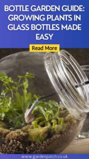BOTTLE GARDEN GUIDE GROWING PLANTS IN GLASS BOTTLES MADE EASY-min