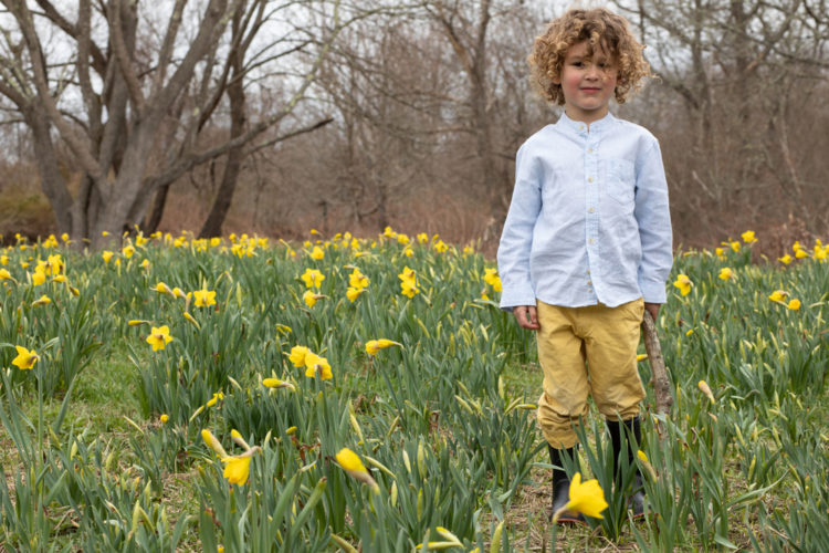 a young boy wearing wellies, standing in a patch of daffodils