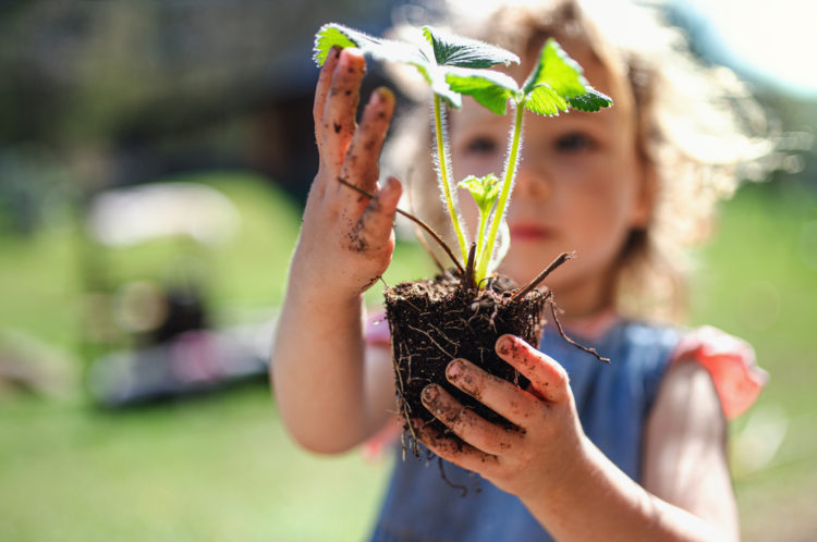a small girl holding out a strawberry plant, one of the best plants to grow with kids