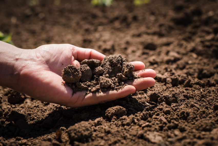 How to Improve Your Garden Soil in 6 Steps 2 close-up of a hand holding earth - how to improve your garden soil